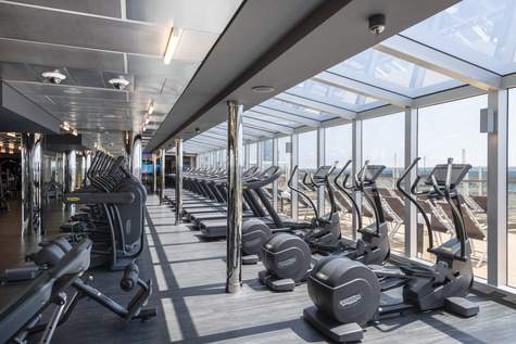 MSC Cruises MSC Seaview Gym.jpg